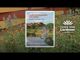 How Garden for Birds and PollinatorsTo | Central Texas Gardener