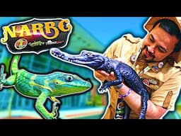 NARBC Tinley Park Reptile Expo Tour 2023