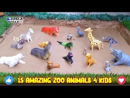 15 Amazing Zoo Animals That Will Make Your Kids LAUGH | Kidiez World TV