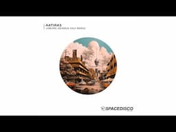 Hatiras - Joburg (Seamus Haji Remix)