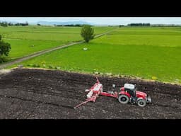 Planting The Maize. Uncle Chris Weekend On.