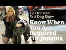 Know When You Are Required For Judging | Tips For Your First Dog Show