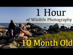 What can I Photograph in 1 Hour with my 10 Month Old? | Nikon Z9 Wildlife Photography