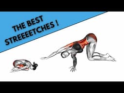 The Best Stretches Of Your Life !