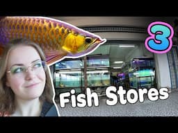 Let's see 3 Fish Stores in ✨Malaysia✨