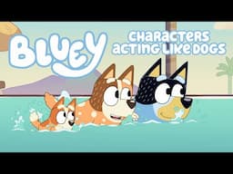 Bluey characters acting like dogs