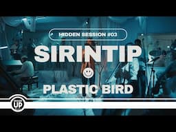 Sirintip - Plastic Bird | HIDDEN SESSION #3