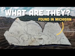 The Oldest Creature You Can See without a Microscope? | Michigan's Grypania