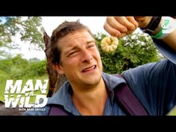 Bear Grylls’ Wildest Things Eaten | Man vs. Wild | Discovery