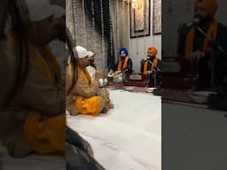 Wada tera darbar #gurdwara #gurunanakdevji #live #gurbani #gurbanikirtan #gurbanistudio #harmandir