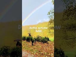 AUTUMN 2021 | HERFST | NETHERLANDS #shorts #youtubeshorts #youtubeshortsbeta #shortsvideo