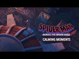 Spider-Man: Across the Spider-Verse | Calming Moments | Sony Animation