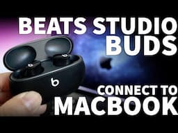 How to Pair Beats Studio Buds to MacBook via Bluetooth - How to Connect Beats Earbuds