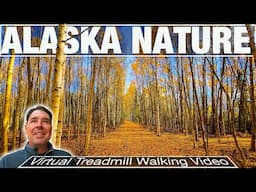 Experience the MOST BREATHTAKING Hike on Skyridge Nature Trail! - City Walks 4k