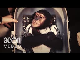 The untold told story of the animals we sent into space | The Conquest of Space