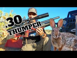 Airgun Rabbit Hunt: Every Shot Counts