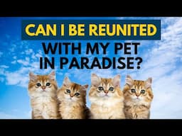 Can I Be Reunited With My Pet In Paradise? | Dr. Shabir Ally