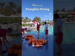 Annual Pumpkin Diving event at Sierra Recreation & Fitness Center. 🎃🏊‍♂️