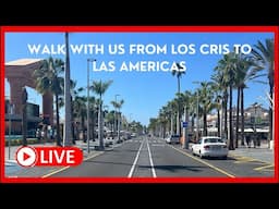 🔴 LIVE - Walk With Us from Los Cristianos to Las Americas | It’s a STUNNING day in Tenerife ☀️🌴