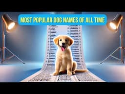 Top 10 MOST POPULAR Dog names of all time