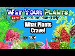 Aquarium Plant Questions Answered (Wet Your Plants 109)