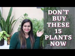 Don't buy these plants in winters else you will regret !!