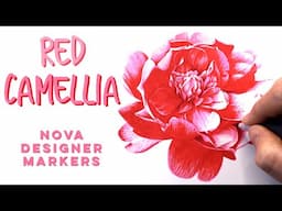 How to use alcohol markers for beginners // Red Camellia Drawing // NOVA designer markers