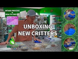 Unboxing New Critters