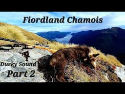 29 Days Solo Adventure in Dusky Sound | Chamois Hunting and Fishing | Part 2