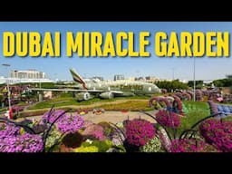 Dubai Miracle Garden New Season 2025, world’s largest natural flower garden  [ 4K ] Walking Tour