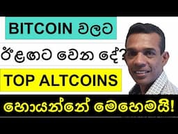 BITCOIN වලට ඊළඟට වෙන දේ! | TOP ALTCOINS හොයන්නේ මෙහෙමයි!