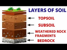 Layers of Soil | EVS for class 3&4 | Uses of soil | Different layers of soil | What is Soil? | #soil