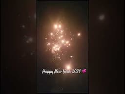 Happy New Year 2024 💞 #fireworks #newyearcelebration #happynewyear2024 #newyear2024