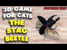 3D game for cats | The Stag Beetle (isometric view) | 4K, 60 fps, stereo sound