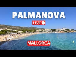 🔴 Live in Palmanova, Mallorca (Majorca) | 3 November 2024