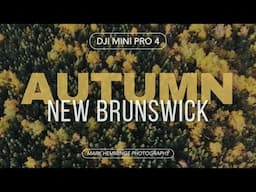 Autumn Drone Views Over New Brunswick | DJI Mini 4 Pro | Mark Hemmings Photography