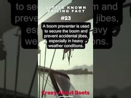 #shorts  - What Is The Purpose Of A Boom Preventer? - Little Known Sailing Facts