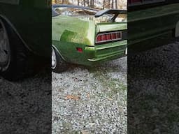 The sound of classic car JOY #ford #classiccar #torino #musclecar #hotrod #cammed #lick #car #auto