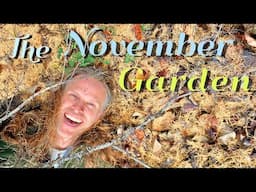 November Gardening Techniques, Tips 'n Tricks