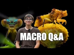 Macro Photography Q&A - 10K special