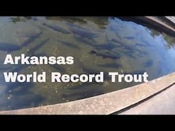 Exploring Arkansas- Greers Ferry National Fish Hatchery- JFK Dam- Heber Springs Arkansas