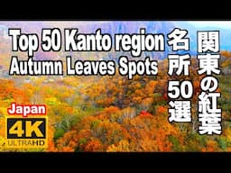 関東の紅葉 50 Top Autumn Leaves Kanto Region 秋 東京 横浜 箱根 日光 鎌倉 イチョウ Tokyo Hakone Nikko Kamakura ひたち海浜公園