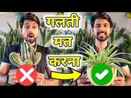 16 Podhe aapke ghar per hone hi chaiye | Free Gifting Plants