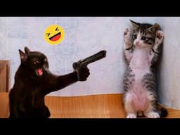 Funniest Animals 😄 New Funny Cats and Dogs Videos 😹🐶