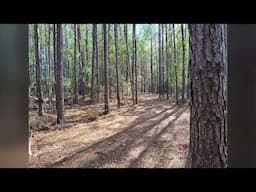 Land for sale in McComb, MS