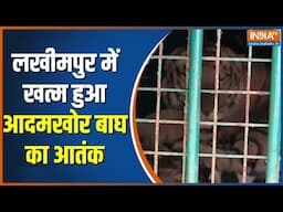 Lakhimpur Kheri News: गांववालों को मारने वाला आदमखोर बाघ पिंजरे में कैद | Jaago India | Morning News