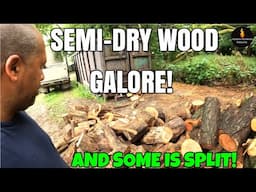 SEMI-DRY FREE FIREWOOD GALORE!