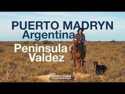 14-Night Antarctica Cruise Excursion to Peninsula Valdez in Puerto Madryn, Argentina