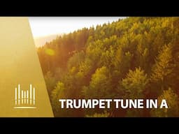 Trumpet Tune in A | The Tabernacle Choir