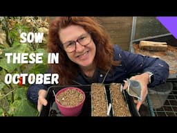 What to Plant in October for a Bumper Harvest Next Year